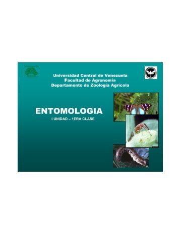 Entomologia. I Unidad. 1ra clase - Universidad Central de Venezuela