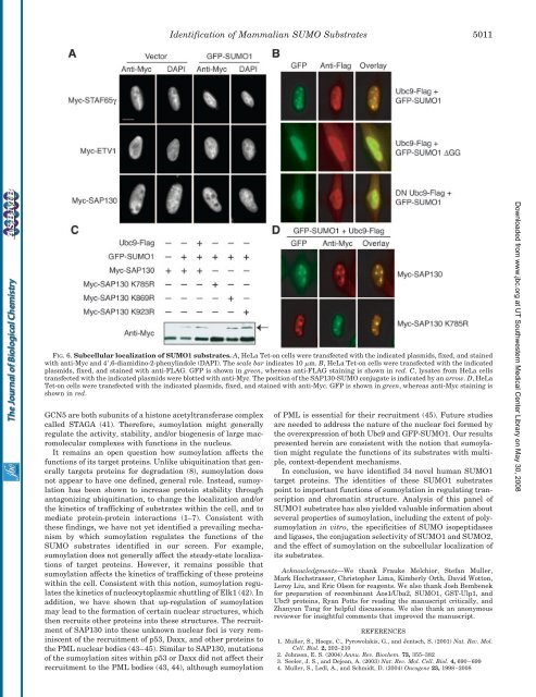 Systematic Identification and Analysis of ... - UT Southwestern