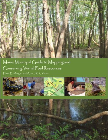 The Maine Municipal Guide to Mapping and Conserving Vernal Pools.