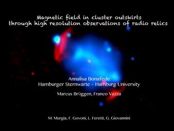 Radio relics and magnetic field: a high resolution view