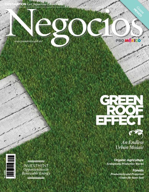 GREEN ROOF EFFECT - ProMÃƒÂ©xico