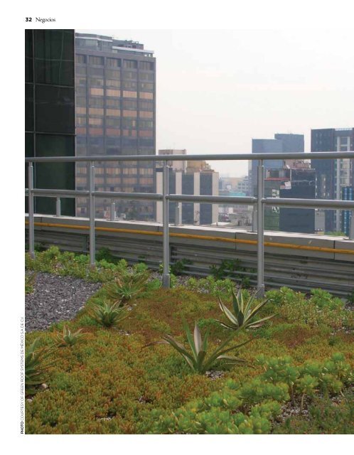 GREEN ROOF EFFECT - ProMÃƒÂ©xico