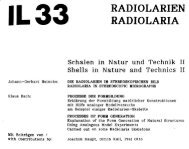 IL33 RADIOLARIEN RADIOLARIA