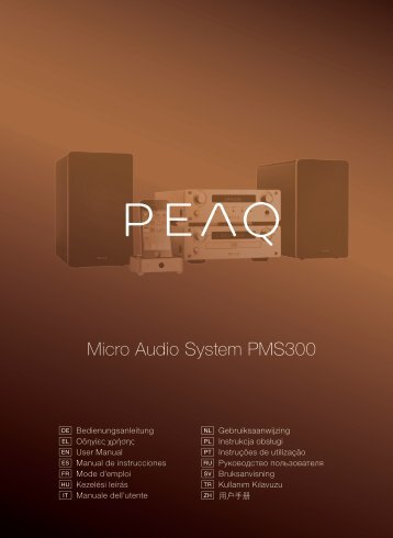 Micro Audio System PMS300 - PEAQ