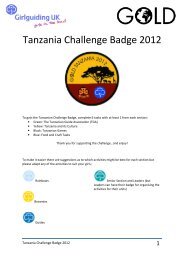 Tanzania Challenge Badge 2012