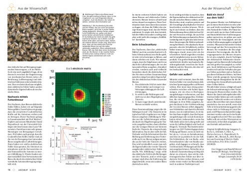 „Hochspannung“ im Bienenvolk - Institut für Biologie und ...