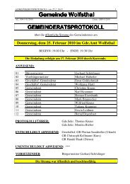 Gemeinderatssitzung 25. Februar 2010 (198 KB) - .PDF - Wolfsthal