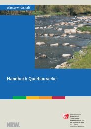Handbuch Querbauwerke - Ministerium fÃ¼r Klimaschutz, Umwelt ...