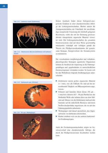 Handbuch Querbauwerke - Ministerium fÃ¼r Klimaschutz, Umwelt ...