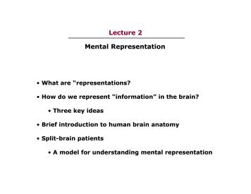 Lecture 2 Mental Representation