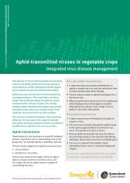 Aphid-transmitted viruses in vegetable crops