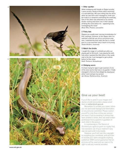 The Nature of Scotland â Autumn 2011 â Issue 13