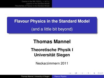 17.02.2011 Thomas Mannel Flavour in the Standard Model
