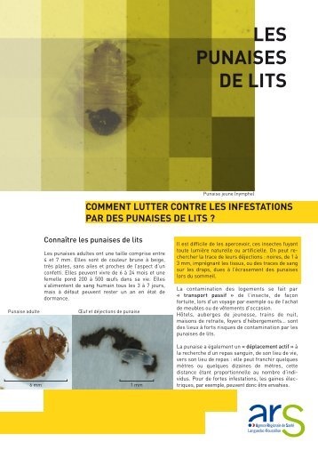 LES PUNAISES DE LITS - ARS Languedoc-Roussillon