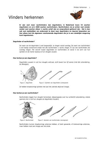 Vlinders herkennen - Vlindernet