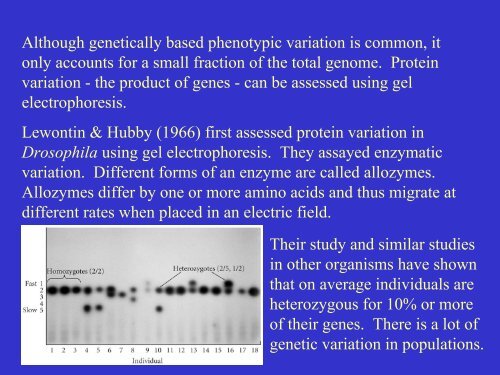 Variation in Populations.pdf