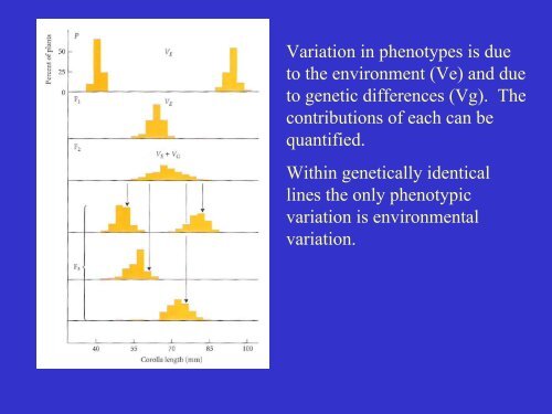 Variation in Populations.pdf