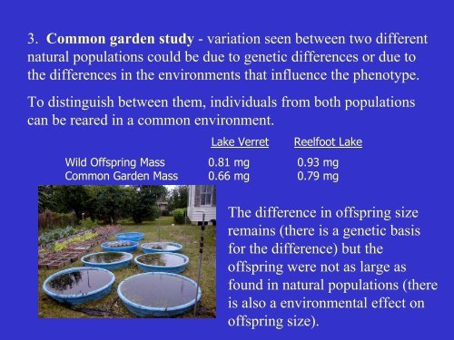 Variation in Populations.pdf