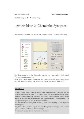 Arbeitsblatt 2: Chemische Synapsen