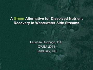 A Green Alternative For Dissolved Nutrient Recovery In
