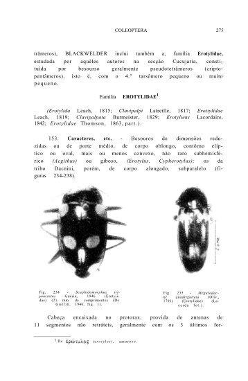 FamÃƒÂ­lia EROTYLIDAE - Acervo Digital de Obras Especiais