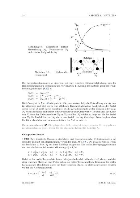 Mathematik fÃ¼r Physiker - Numerische Physik: Modellierung