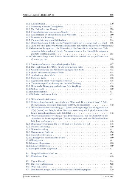 Mathematik fÃ¼r Physiker - Numerische Physik: Modellierung