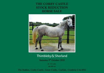 Catalogue - Thimbleby & Shorland