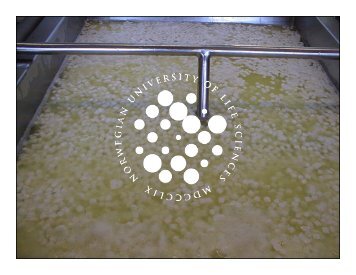 What is good milk for cheesemaking - UMB