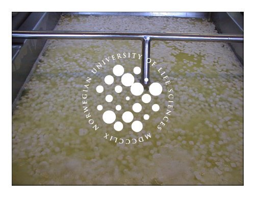 What is good milk for cheesemaking - UMB