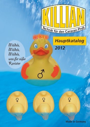 Hauptkatalog KILLIAN 2012 - COMET-PUMPEN Systemtechnik