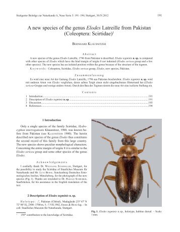 A new species of the genus Elodes Latreille from Pakistan ...