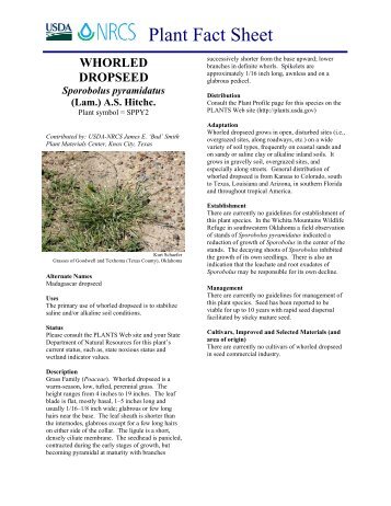 Plant Fact Sheet - Plant Materials Program - US Department of ...