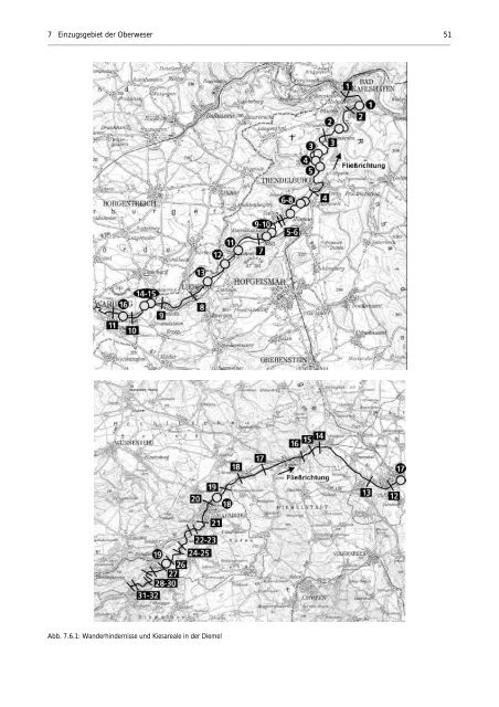 Laichhabitate Teil 1 - FGG Weser