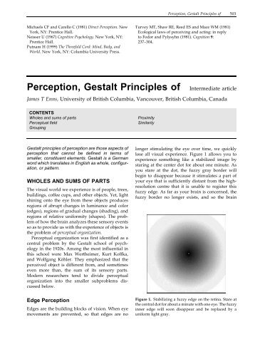 Gestalt Grouping Principles - HomePage Server for UT Psychology