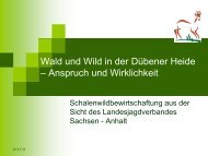 Schalenwildbewirtschaftung aus der Sicht des ...