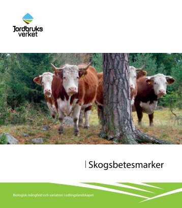 Skogsbetesmarker - Jordbruksverket