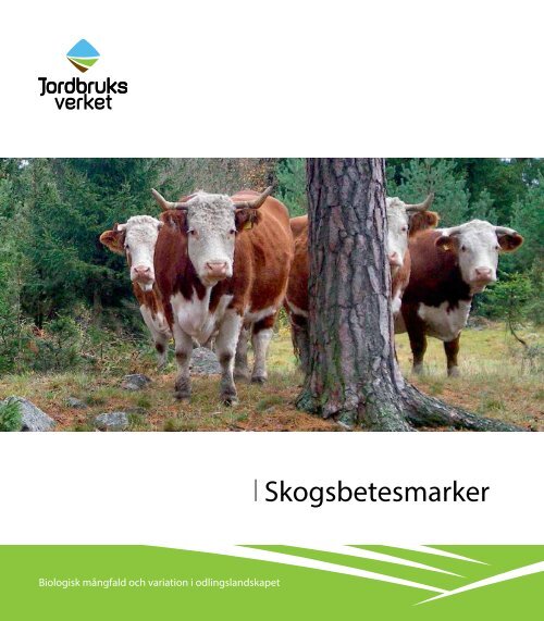 Skogsbetesmarker - Jordbruksverket