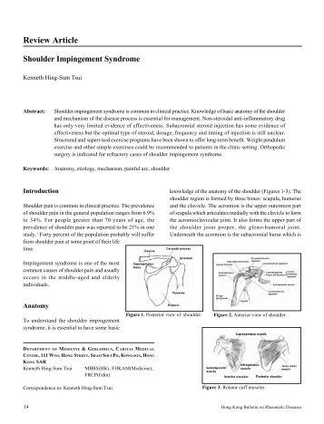 Shoulder Impingement Syndrome - The Hong Kong Society of ...