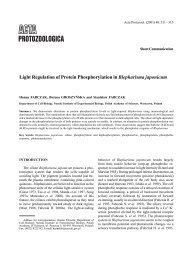 Light Regulation of Protein Phosphorylation in Blepharisma japonicum