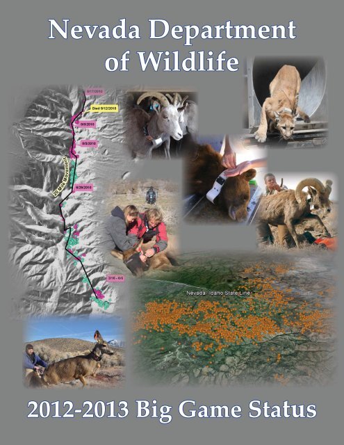 https://img.yumpu.com/23038674/1/500x640/download-publication-pdf-nevada-department-of-wildlife.jpg