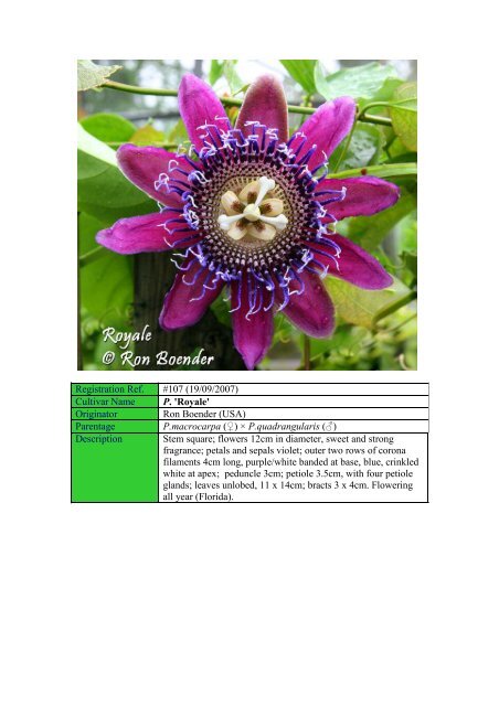 Sonia - Passion Flowers