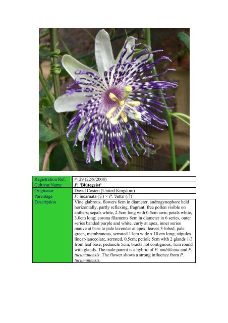 Sonia - Passion Flowers