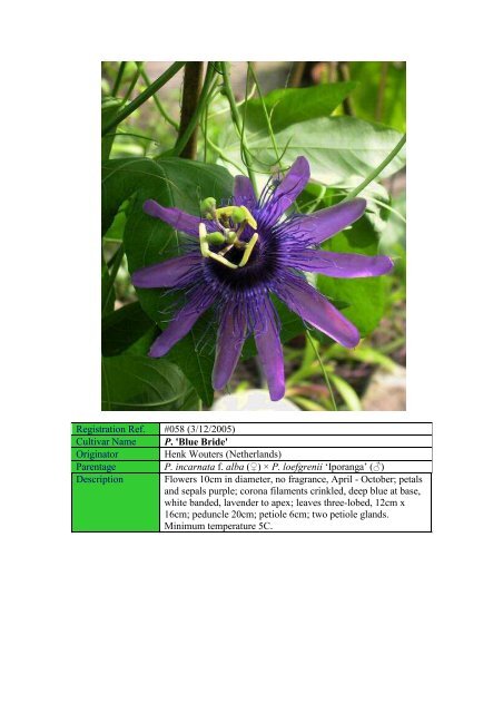 Sonia - Passion Flowers