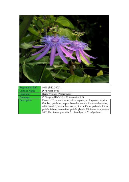 Sonia - Passion Flowers