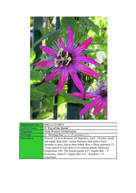 Sonia - Passion Flowers