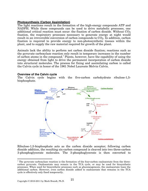 21 Photosynthesis (Carbon Assimilation) The light ... - Rose-Hulman