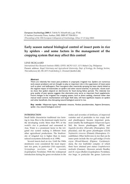 Early season natural biological control of insect pests in rice by ...