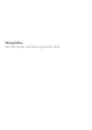 Manganblau Farbbuch - Stefan Muntwyler