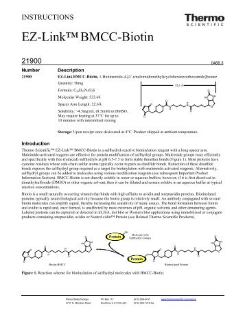 EZ-Linkâ¢BMCC-Biotin - Pierce